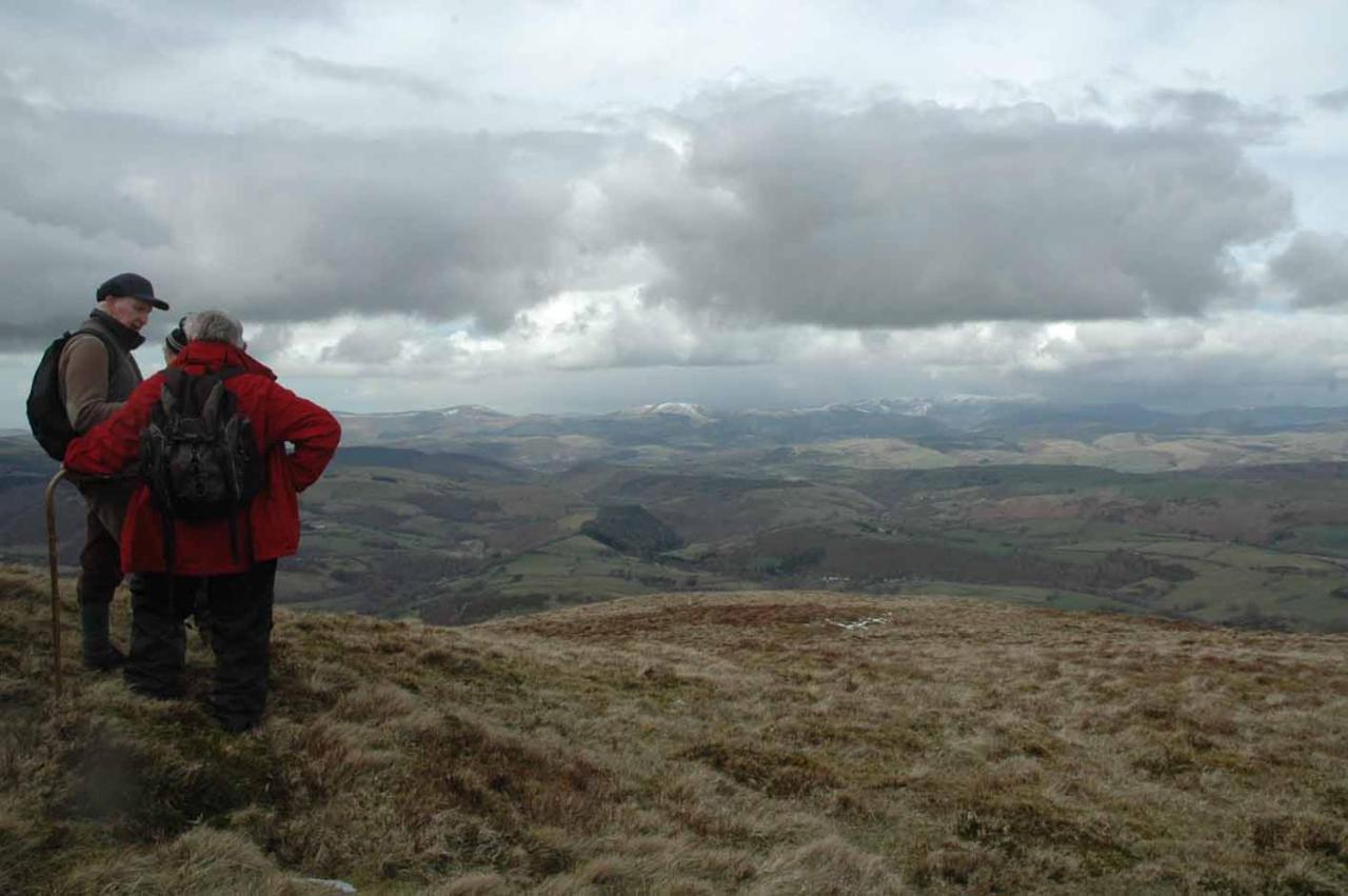 Mid Wales Arts B&B Caersws Luaran gambar